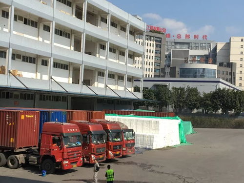 力天國際物流給您拜年啦 感謝社會各界領導 客戶及朋友們的厚愛與支持,堅持物流產品經營理念繼續(xù)前行